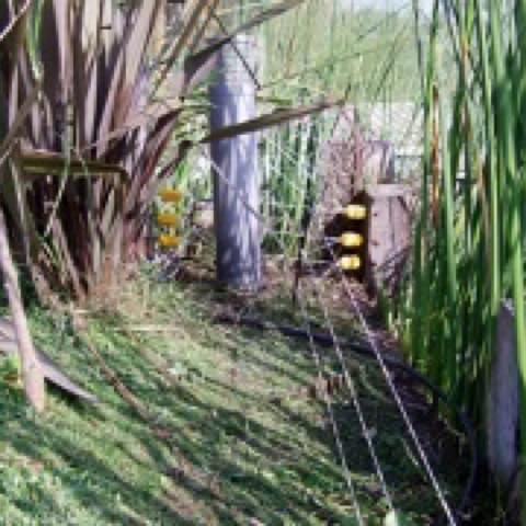 Cerco Eléctrico para Animales