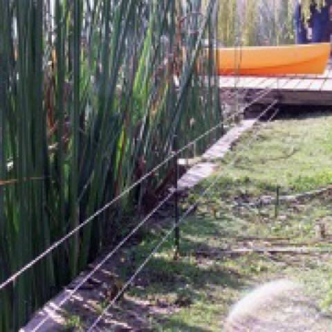 Cerco Eléctrico para Animales