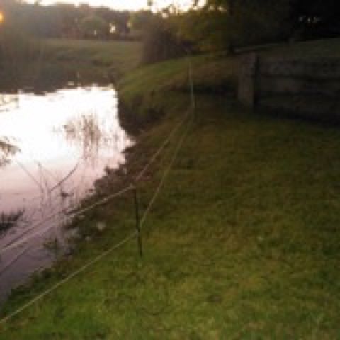 Cerco Eléctrico para Animales