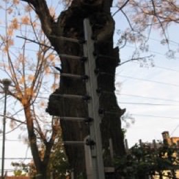 Columnas de herrería universales adaptables