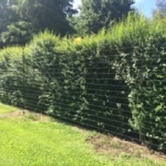 Instalaciones de Cercos Eléctricos