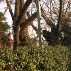 Instalaciones de Cercos Eléctricos