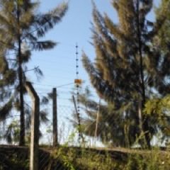 Instalaciones de Cercos Eléctricos