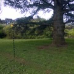 Instalaciones de Cercos Eléctricos