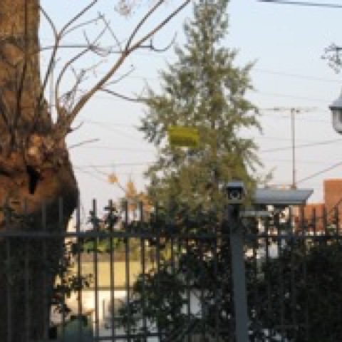 Cámaras de Vigilancia