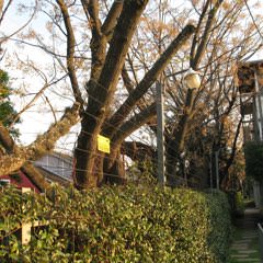 Instalaciones de Cercos Eléctricos en Consorcios
