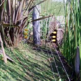 Instalaciones de Cercos Eléctricos