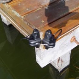 Instalaciones de Cercos Eléctricos