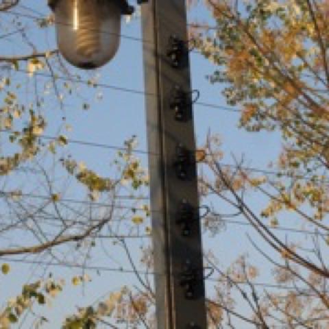 Instalaciones de Cercos Eléctricos