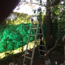 Instalaciones de Cercos Eléctricos